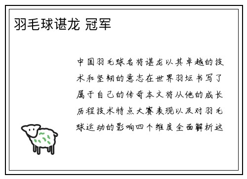 羽毛球谌龙 冠军